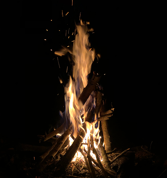 Using The Wood After Tree Work