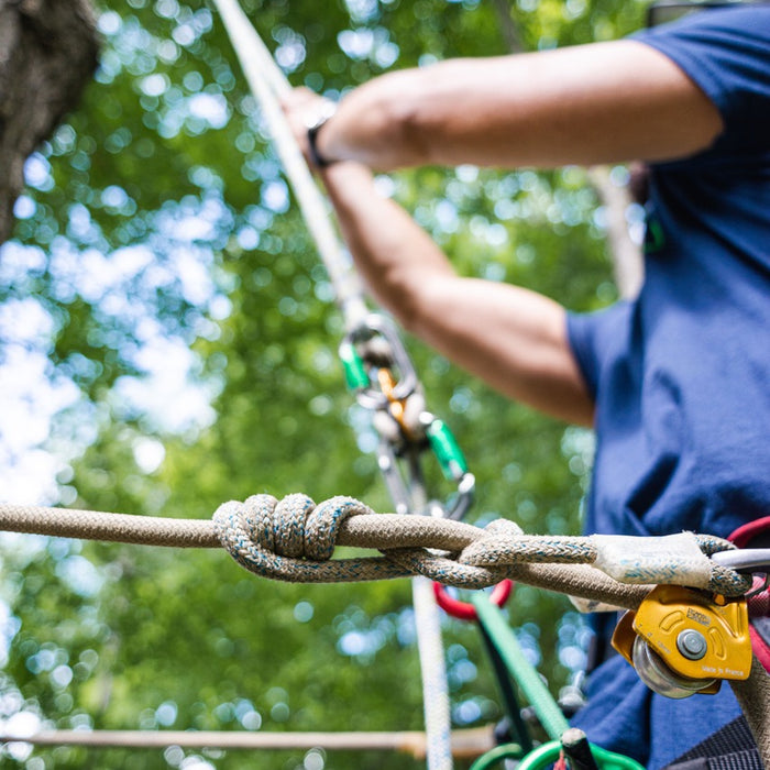 Grab on Tight! Talking about Rope Grabs — Bartlett Arborist Supply